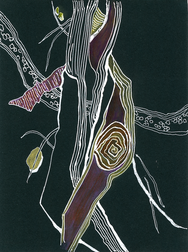 <i>Ponderosa Pine Inverse #5</i> Mixed media. Framed, 15x11.